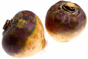 Steckrübe